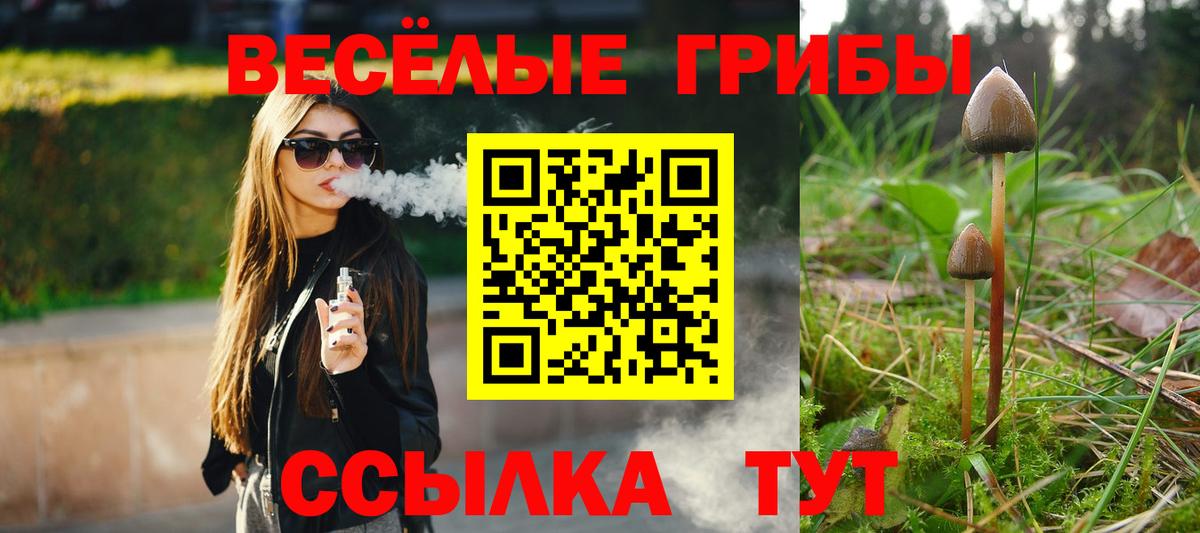 Псилоцибиновые грибы мицелий  Псилоцибиновые грибы Magic Shrooms  Елабуга  даркнет сайт  Вход с VPN 